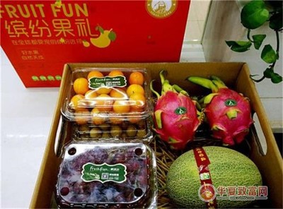 果缤纷fruit fun水果店加盟电话是多少?加盟怎么样?